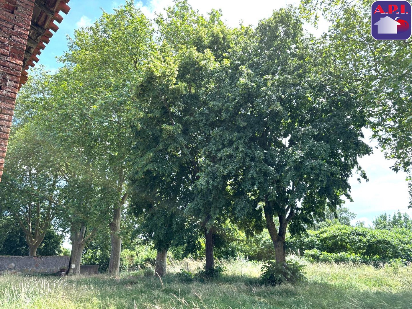 Agence immobilière de ARIEGE PYRENEES IMMOBILIER (API)
