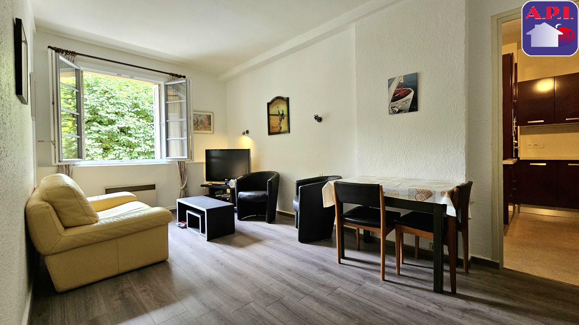 Agence immobilière de ARIEGE PYRENEES IMMOBILIER (API)
