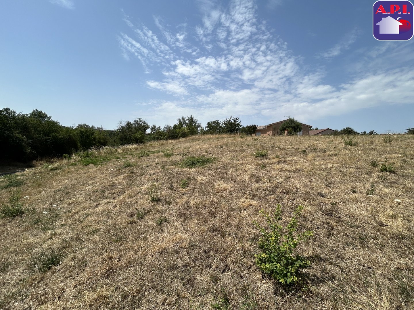 Agence immobilière de ARIEGE PYRENEES IMMOBILIER (API)