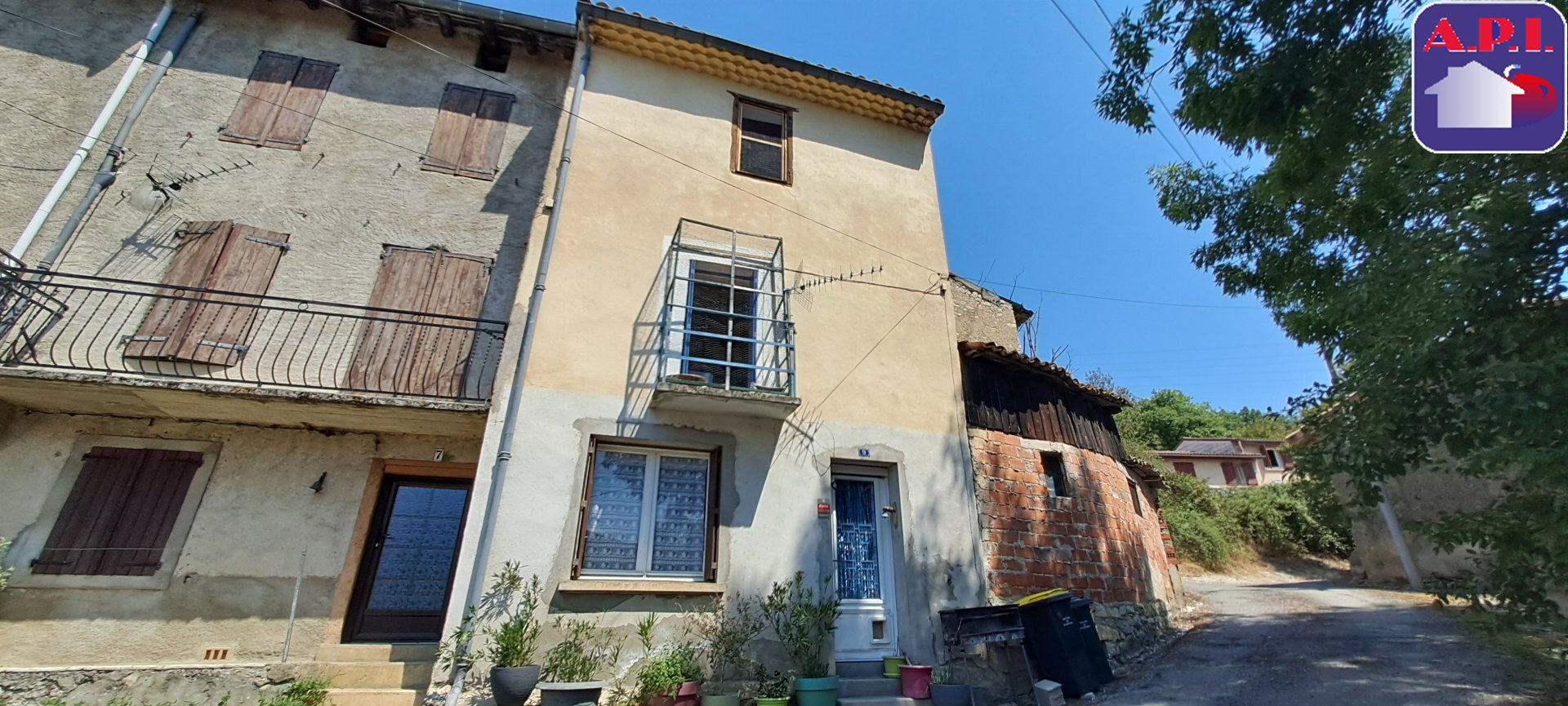 Agence immobilière de ARIEGE PYRENEES IMMOBILIER (API)