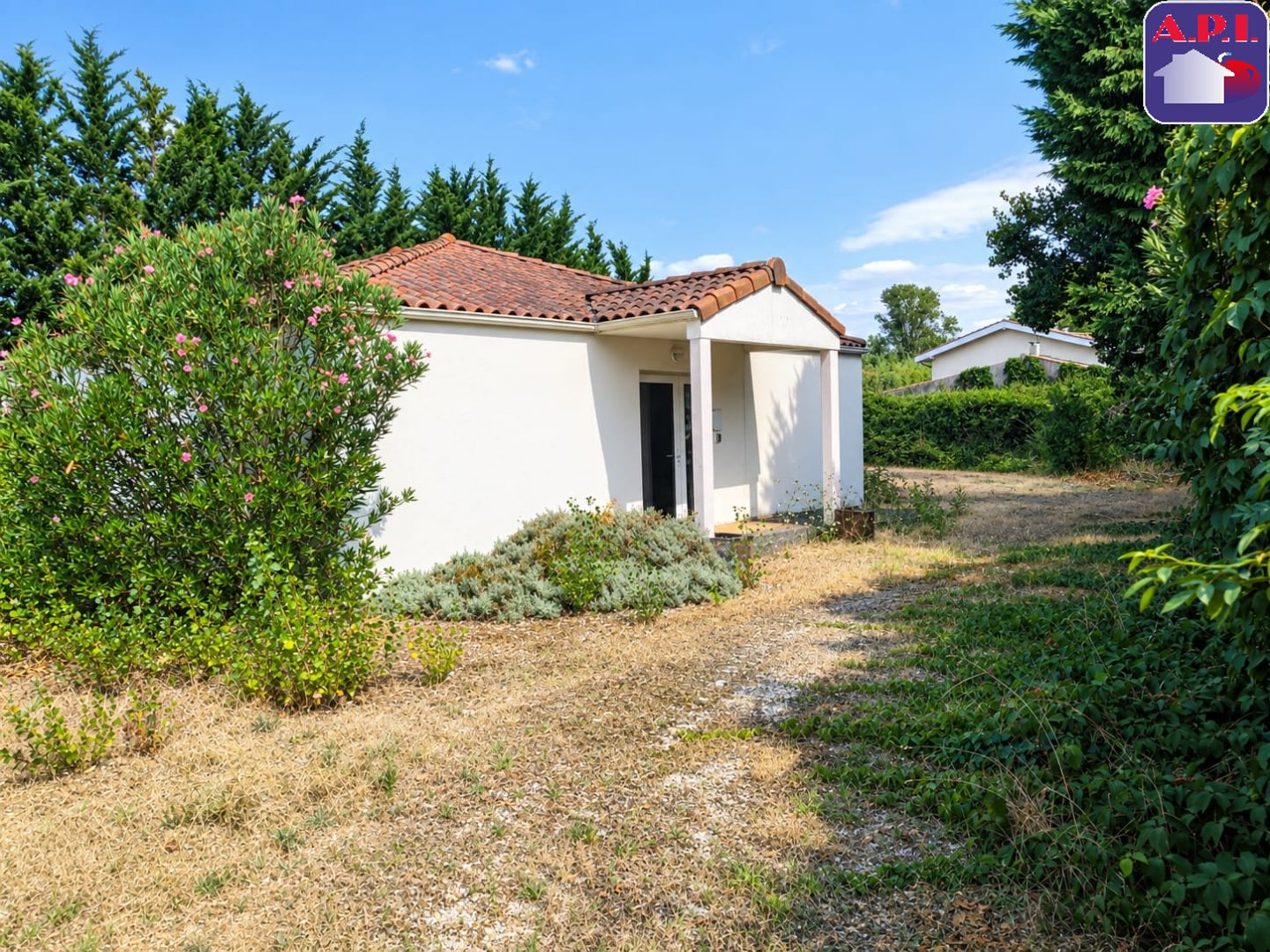 Agence immobilière de ARIEGE PYRENEES IMMOBILIER (API)