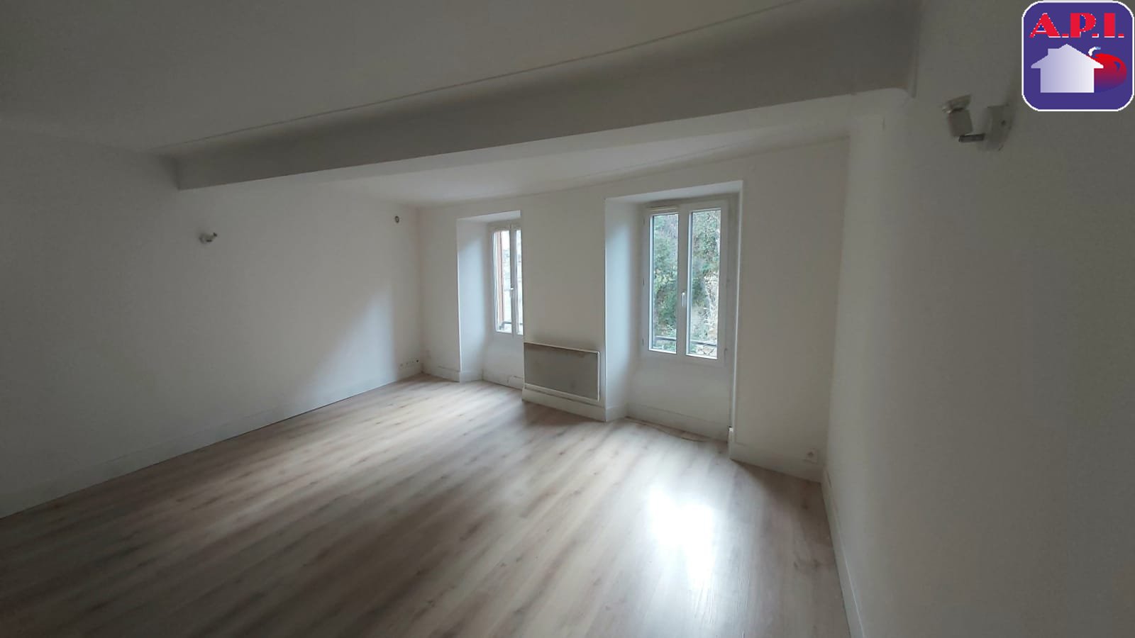 Agence immobilière de ARIEGE PYRENEES IMMOBILIER (API)