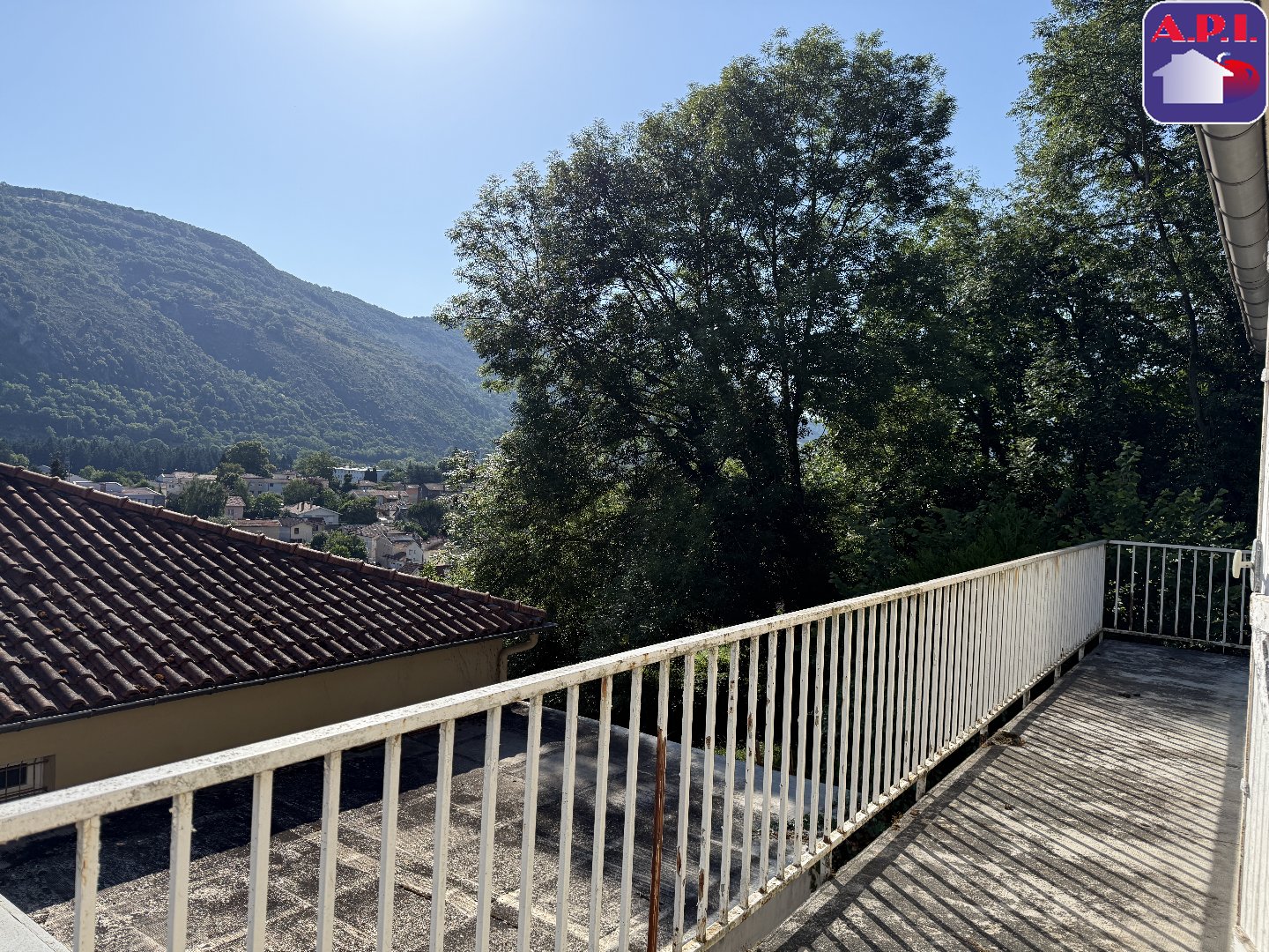 Agence immobilière de ARIEGE PYRENEES IMMOBILIER (API)