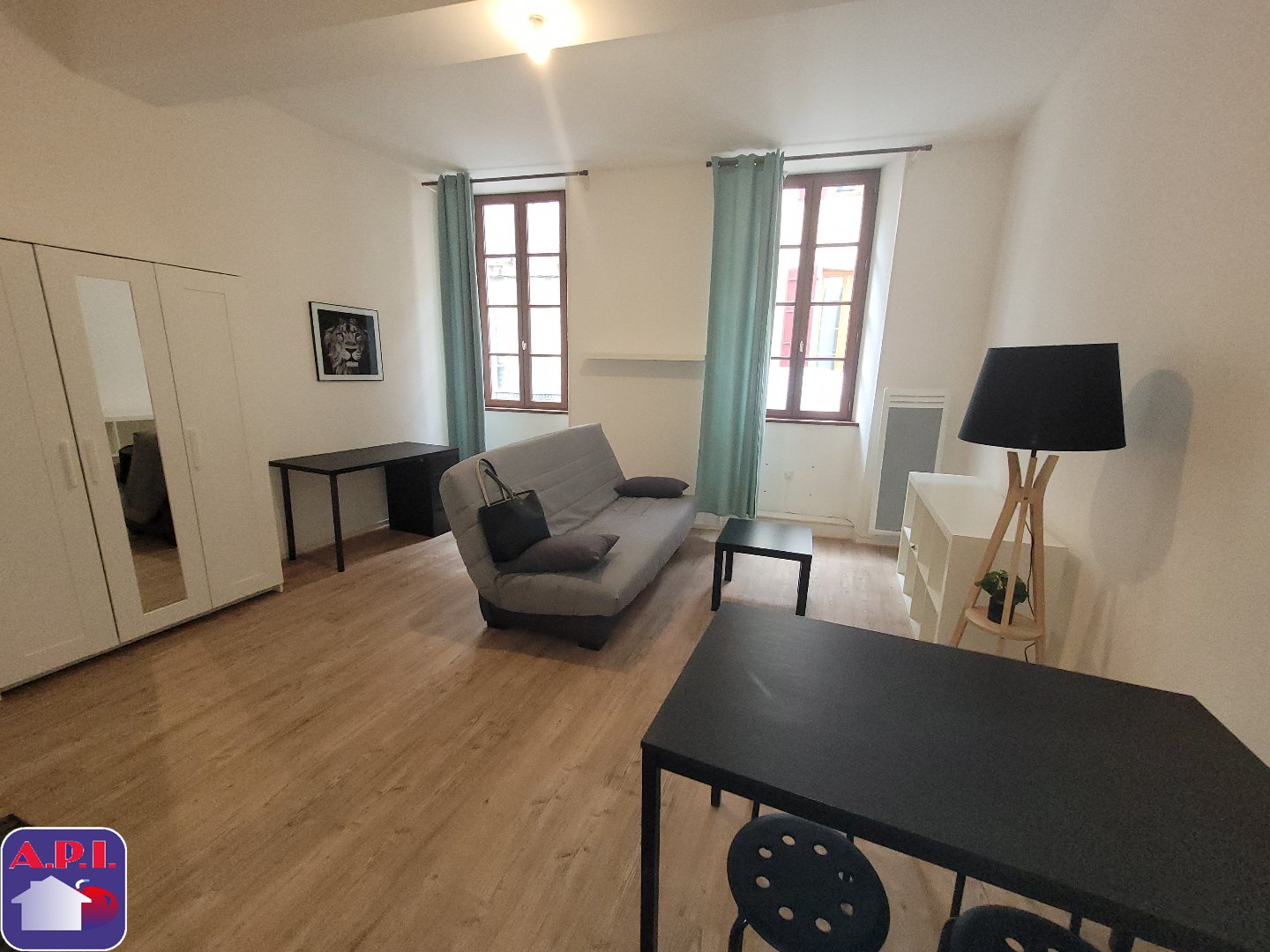 Agence immobilière de ARIEGE PYRENEES IMMOBILIER (API)