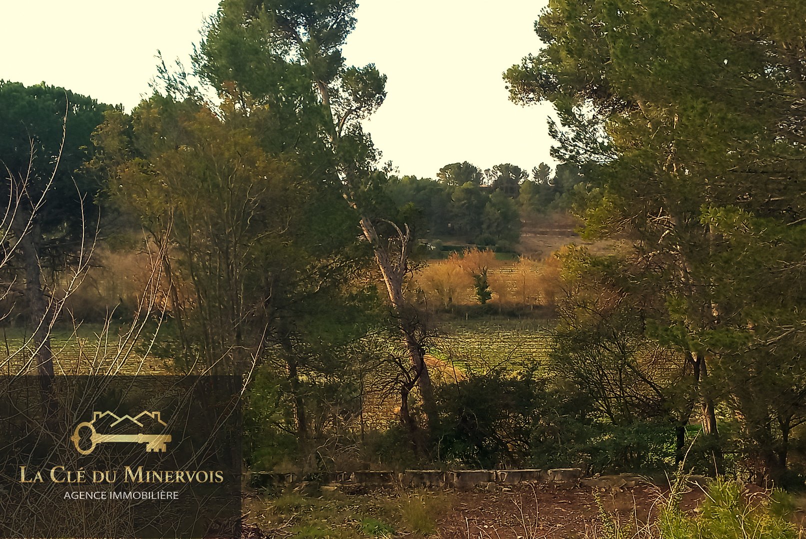 Agence immobilière de LA CLE DU MINERVOIS