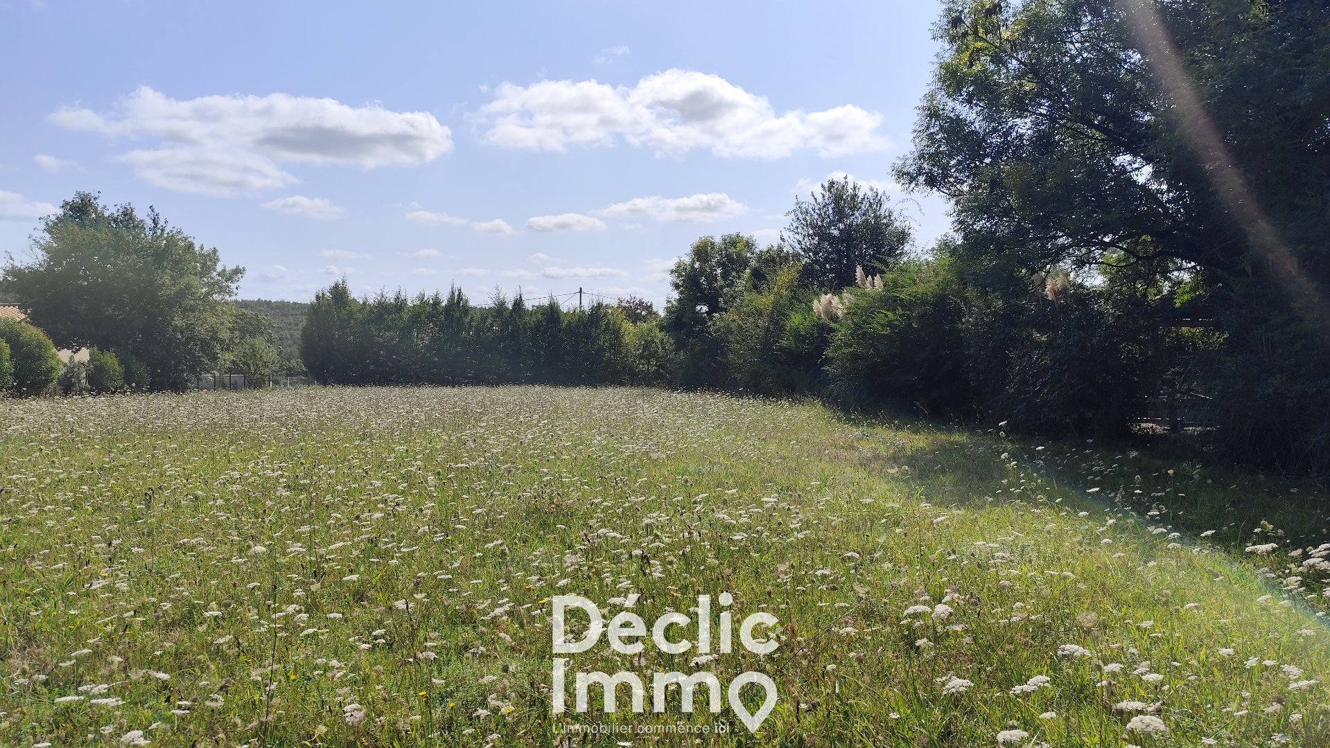 Agence immobilière de DECLIC IMMO 86