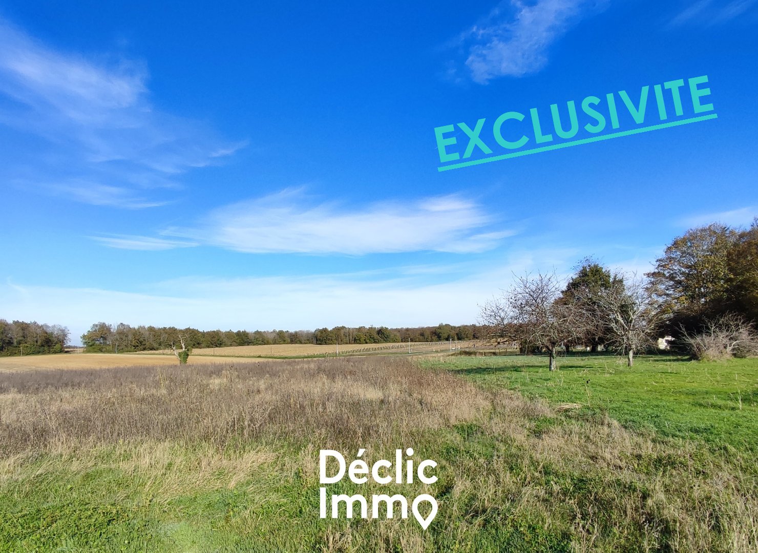 Agence immobilière de DECLIC IMMO 86