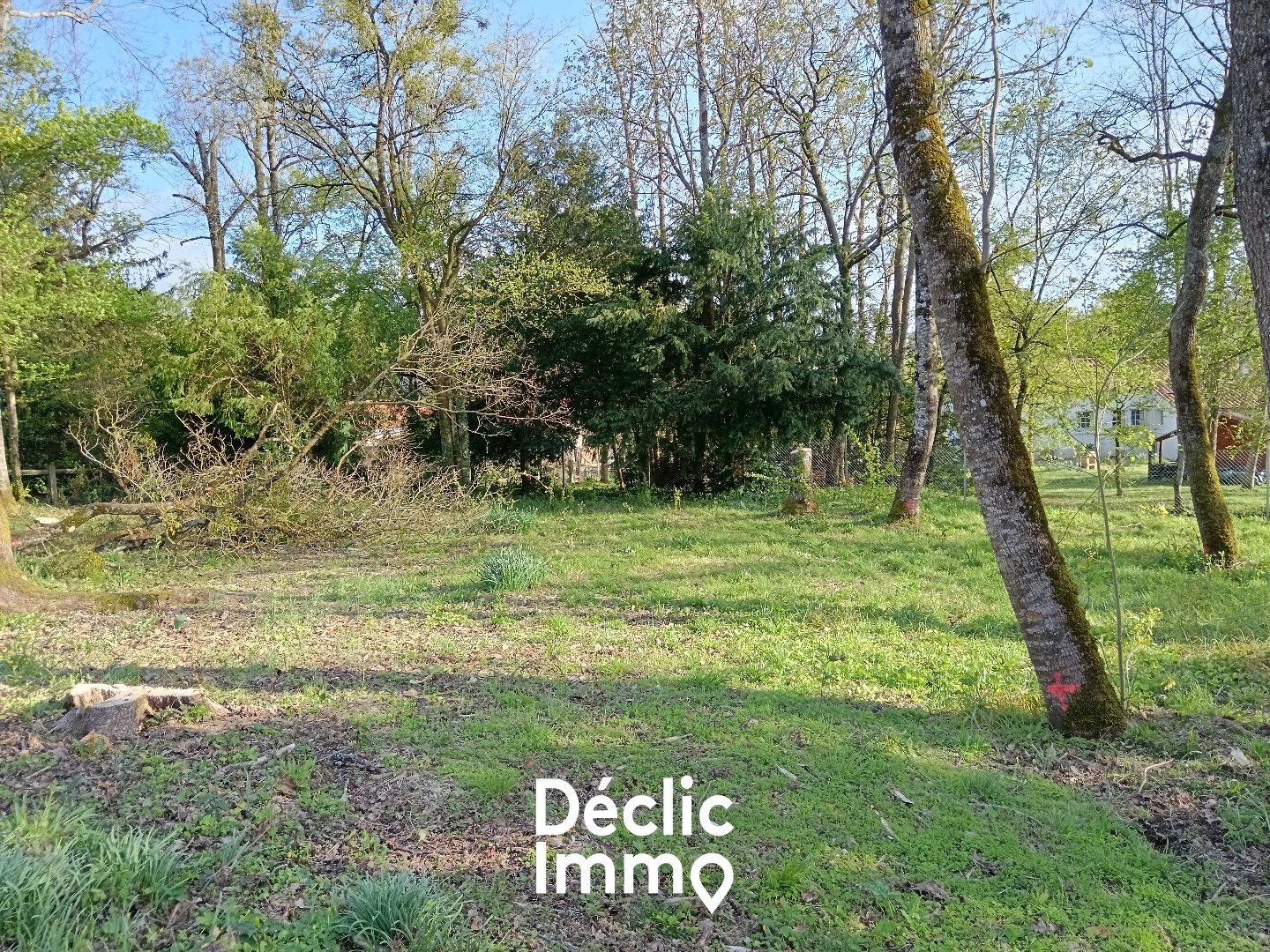 Agence immobilière de DECLIC IMMO 86