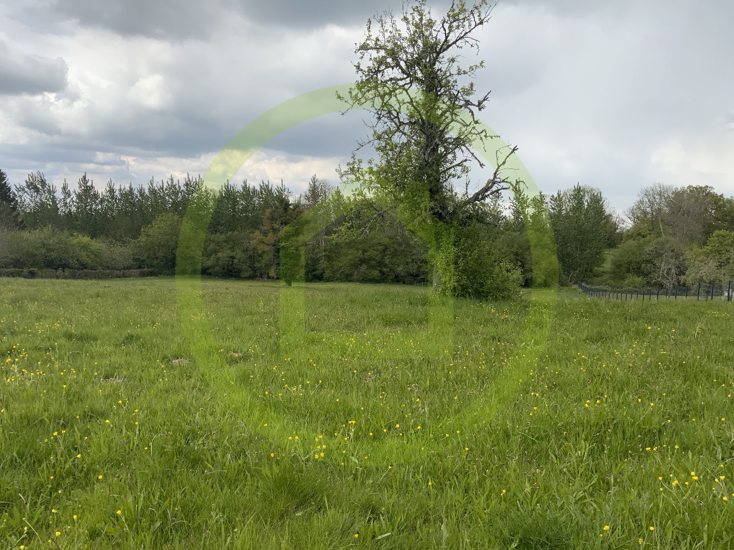 Terrain — Pionnat