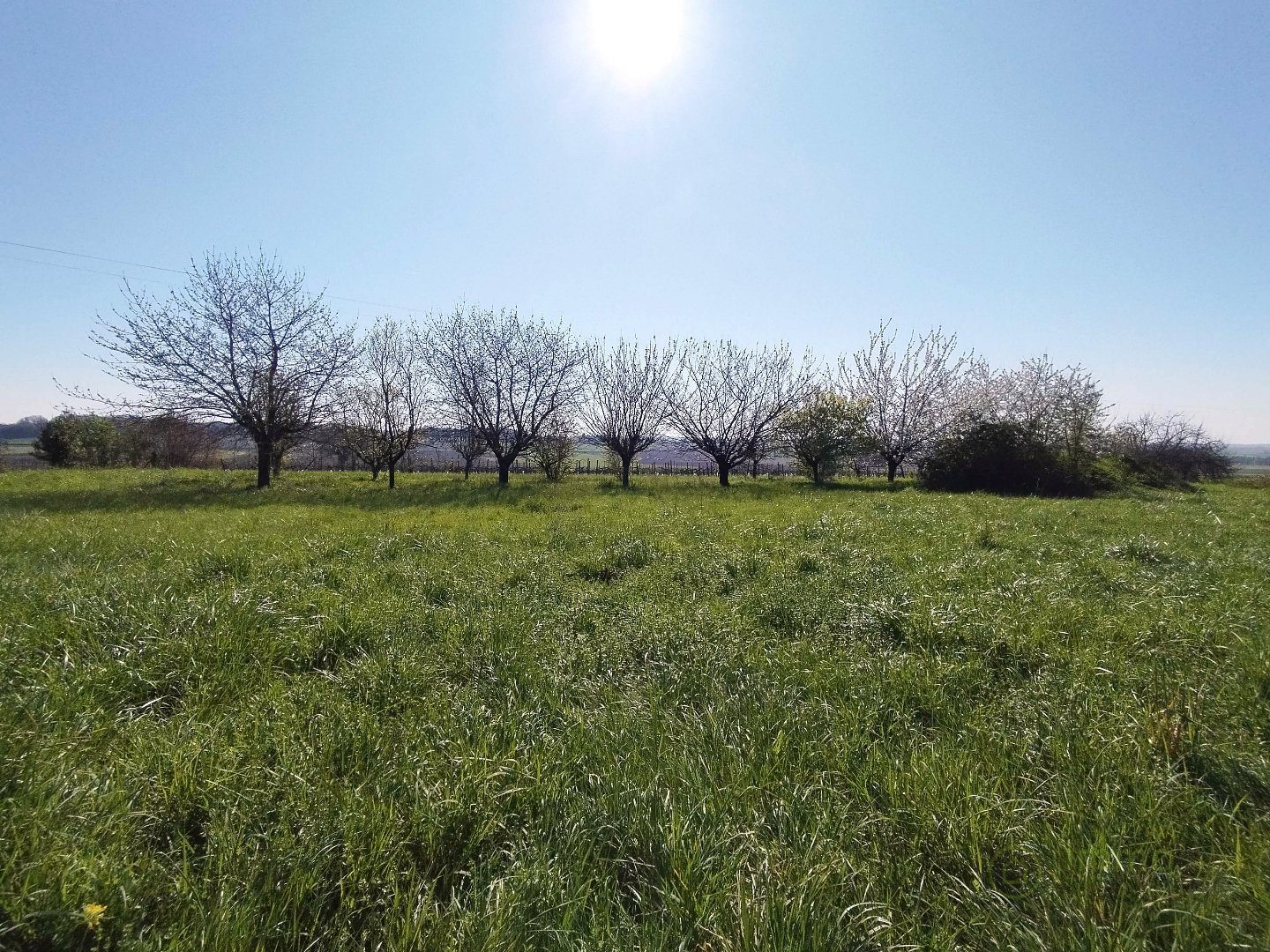 Terrain — Saint-Maigrin