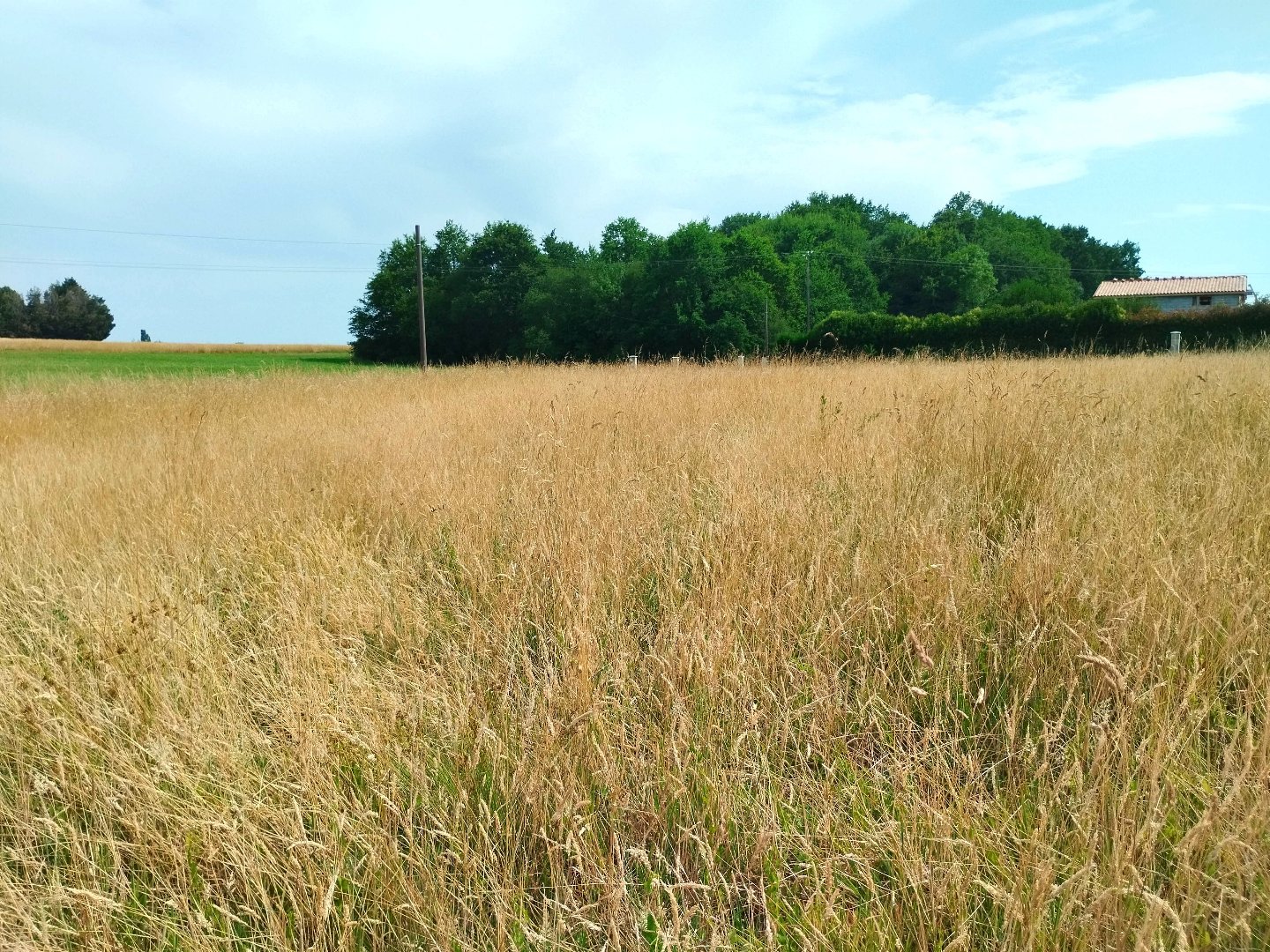 Terrain — Mérignac