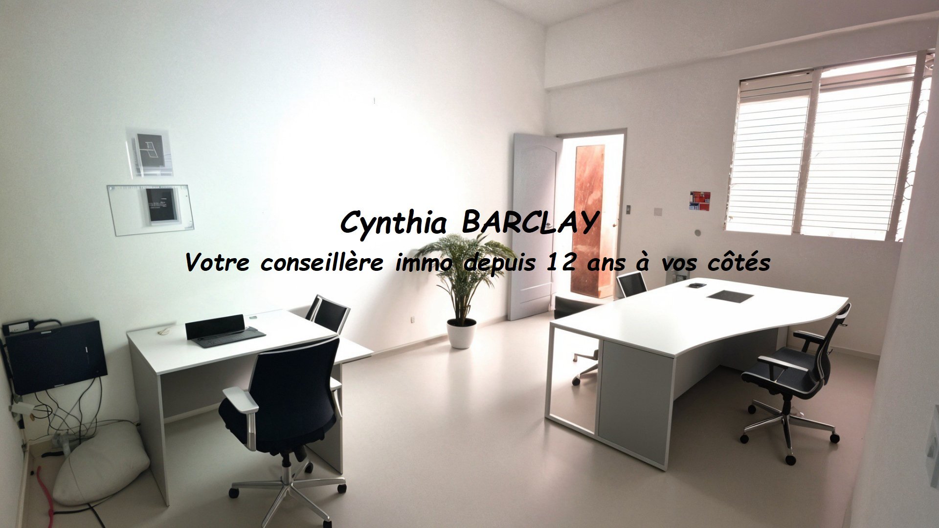 Premises 38m² — Le Morne-Rouge