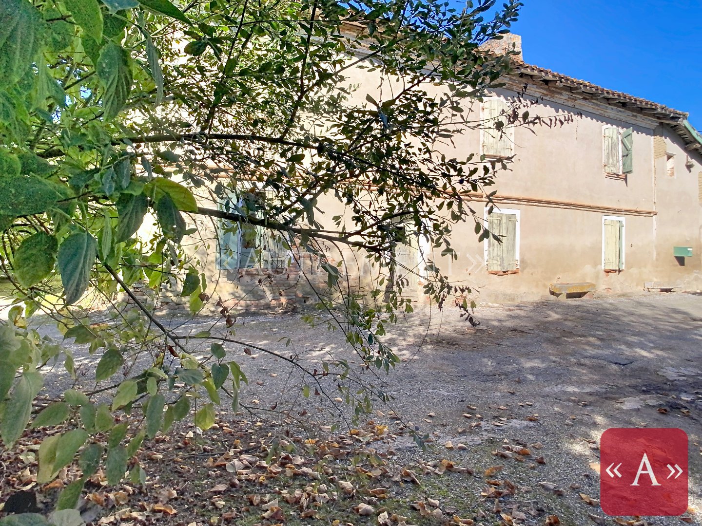 Maison