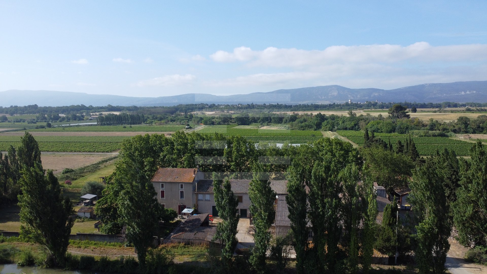 Propriété viticole