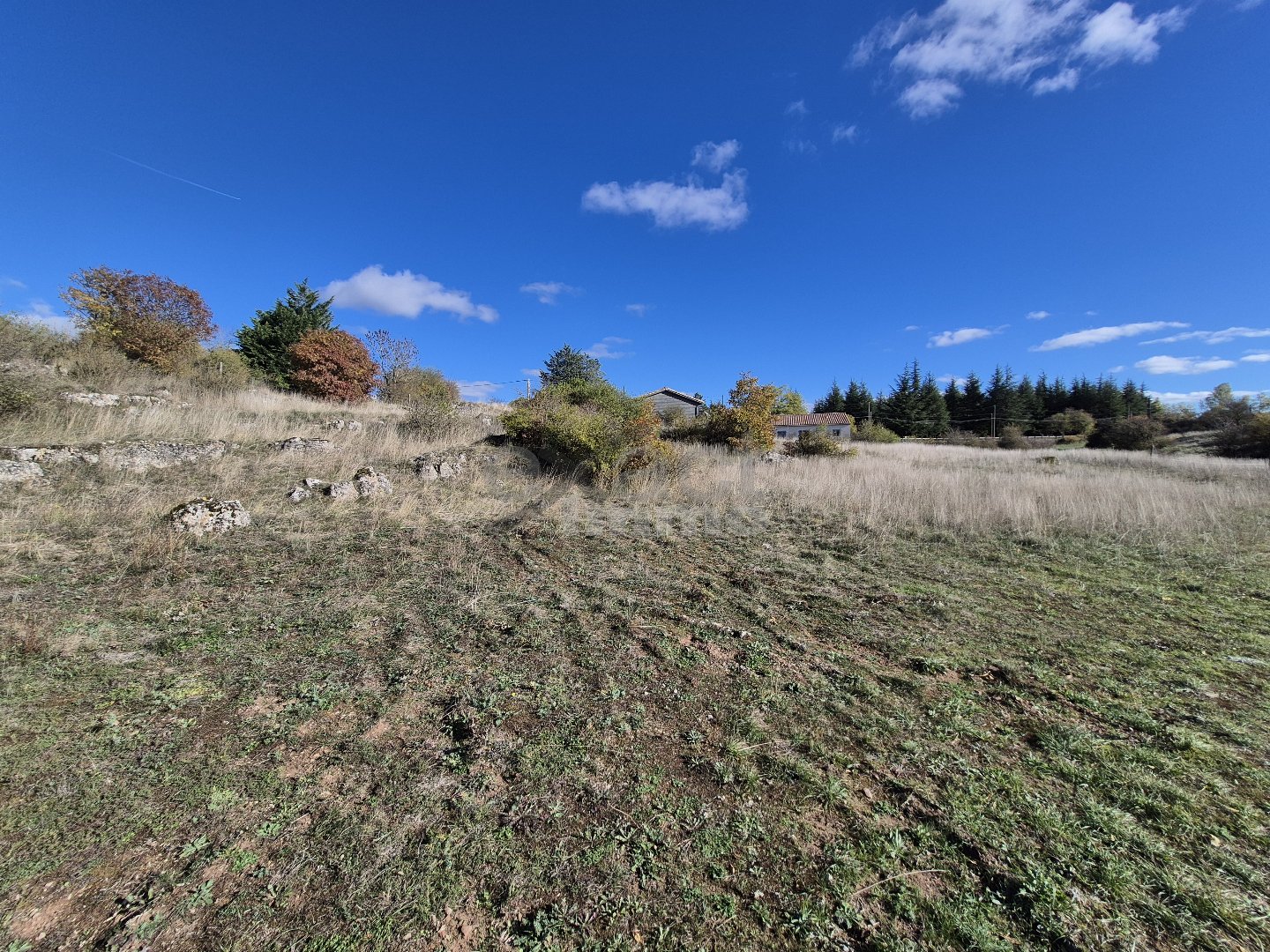 Terrain — Le Caylar