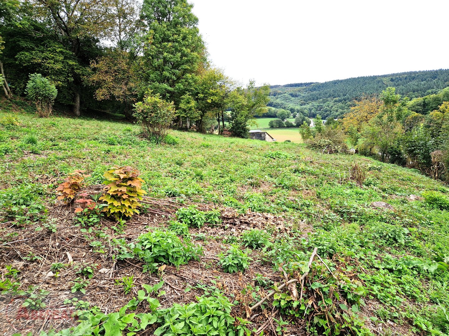 Terrain — Fontrieu