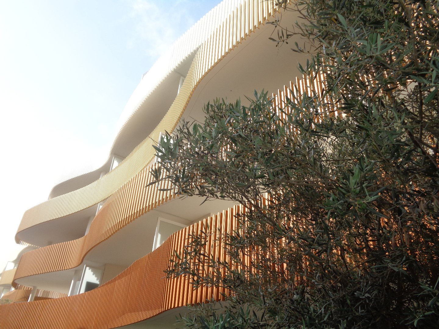 Agence immobilière de SYLVIE LOZANO IMMO