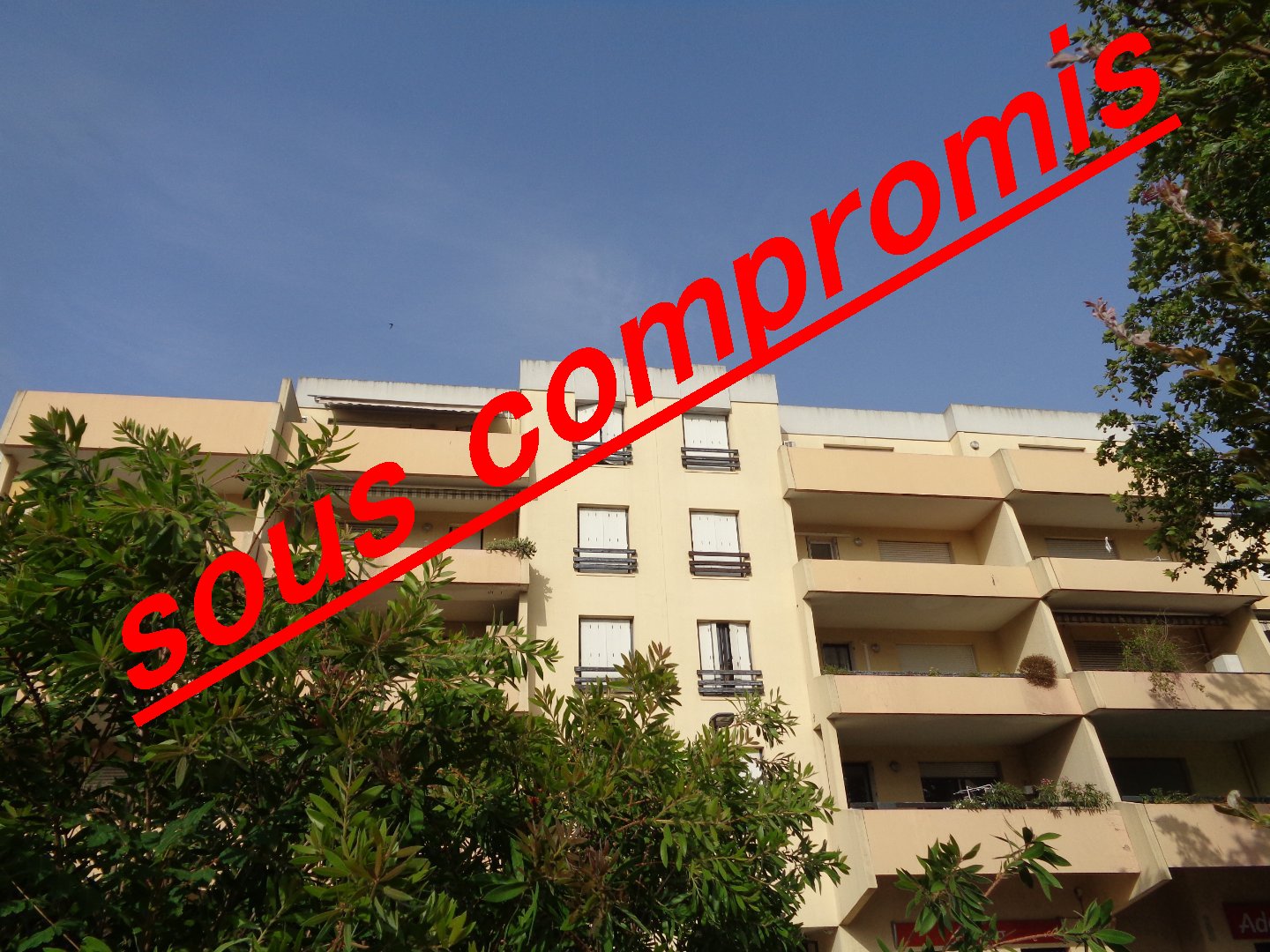 Agence immobilière de SYLVIE LOZANO IMMO