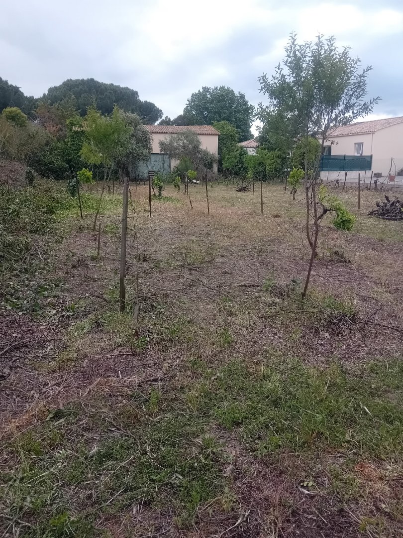 Agence immobilière de SYLVIE LOZANO IMMO