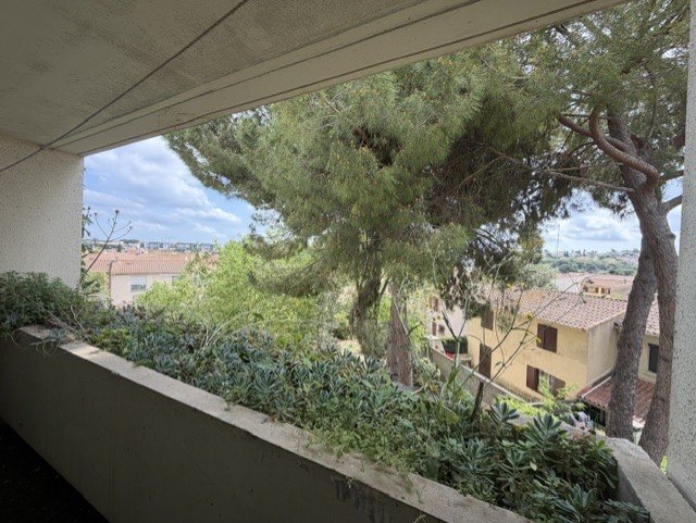 Agence immobilière de SYLVIE LOZANO IMMO