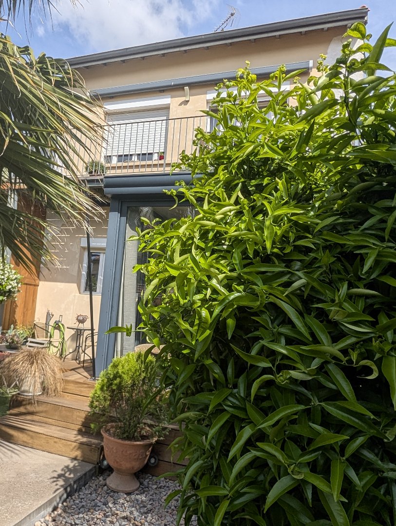 Agence immobilière de SYLVIE LOZANO IMMO