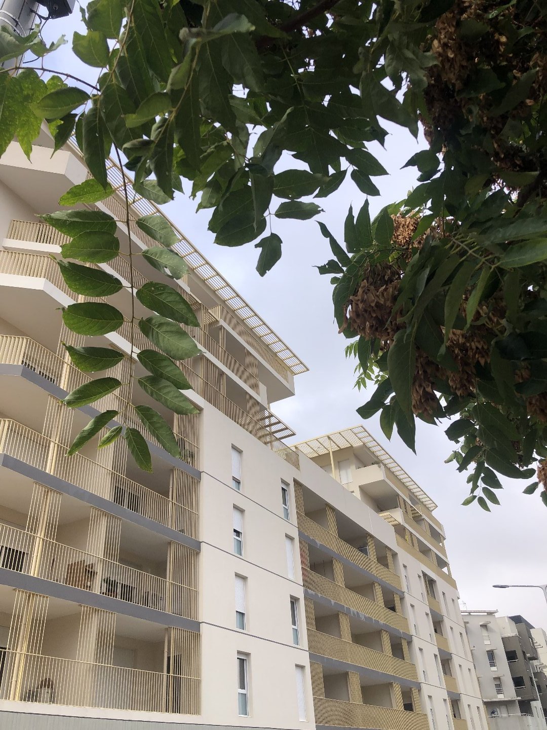 Agence immobilière de SYLVIE LOZANO IMMO