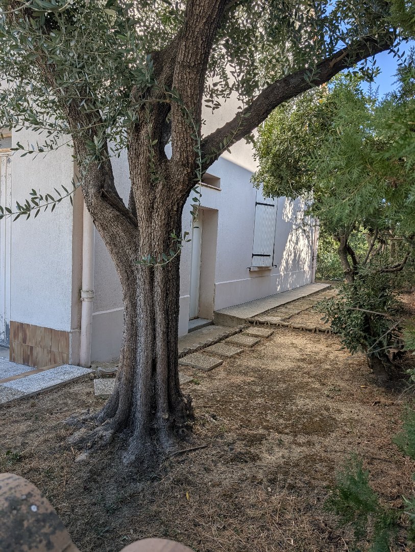 Agence immobilière de SYLVIE LOZANO IMMO