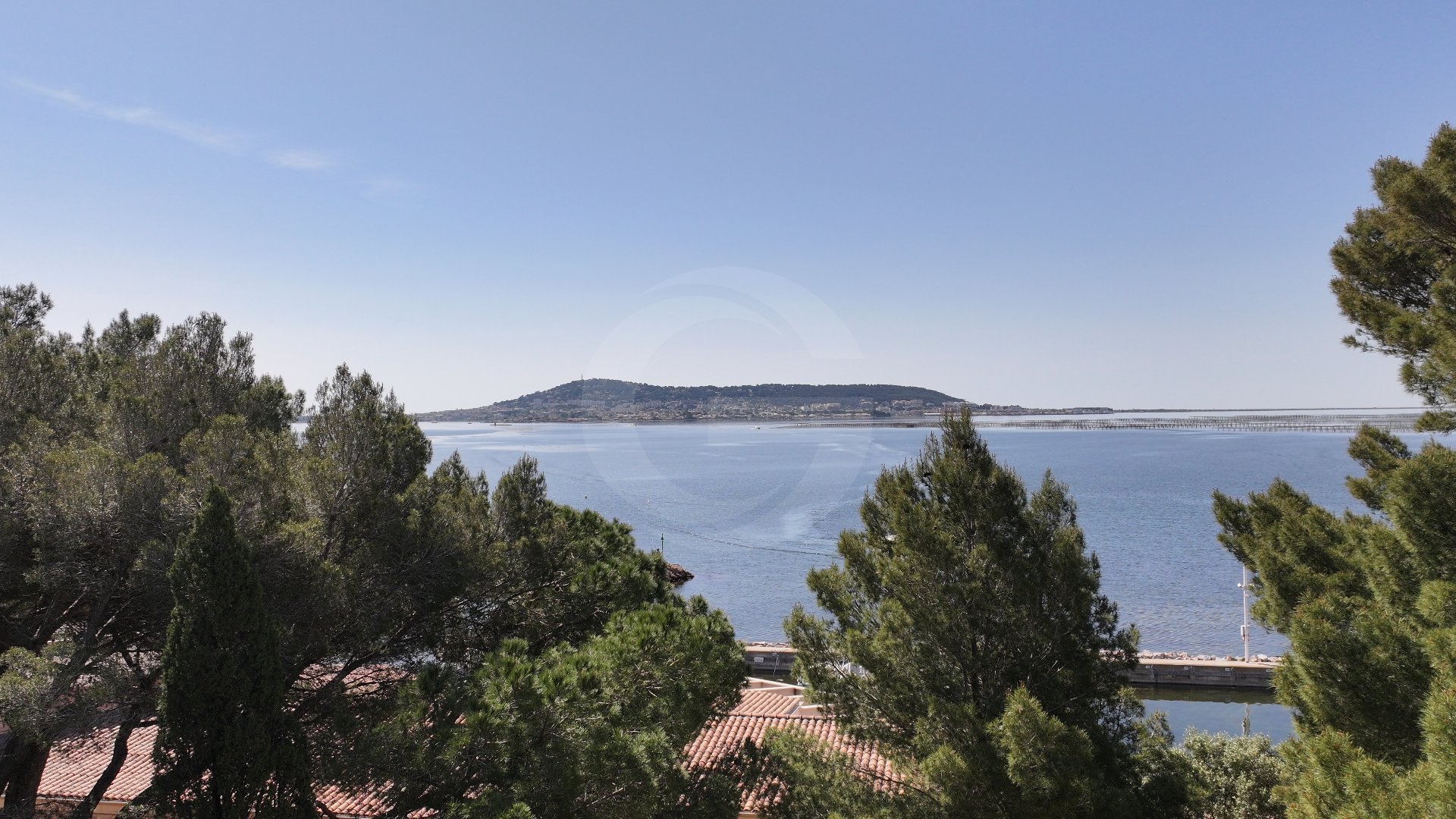 Agence immobilière de Groupe GESIM