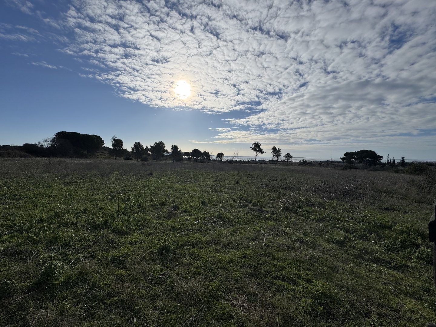 Agence immobilière de Groupe GESIM