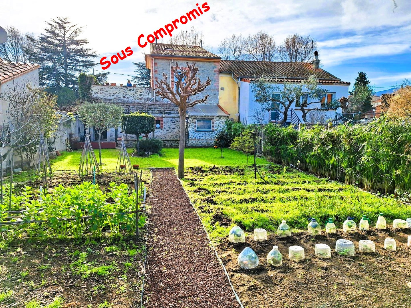 Agence immobilière de Artaxa IMMO Sarl