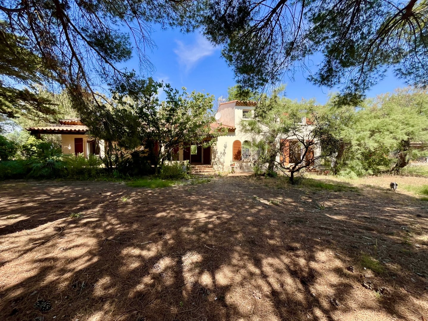 Agence immobilière de Artaxa IMMO Sarl