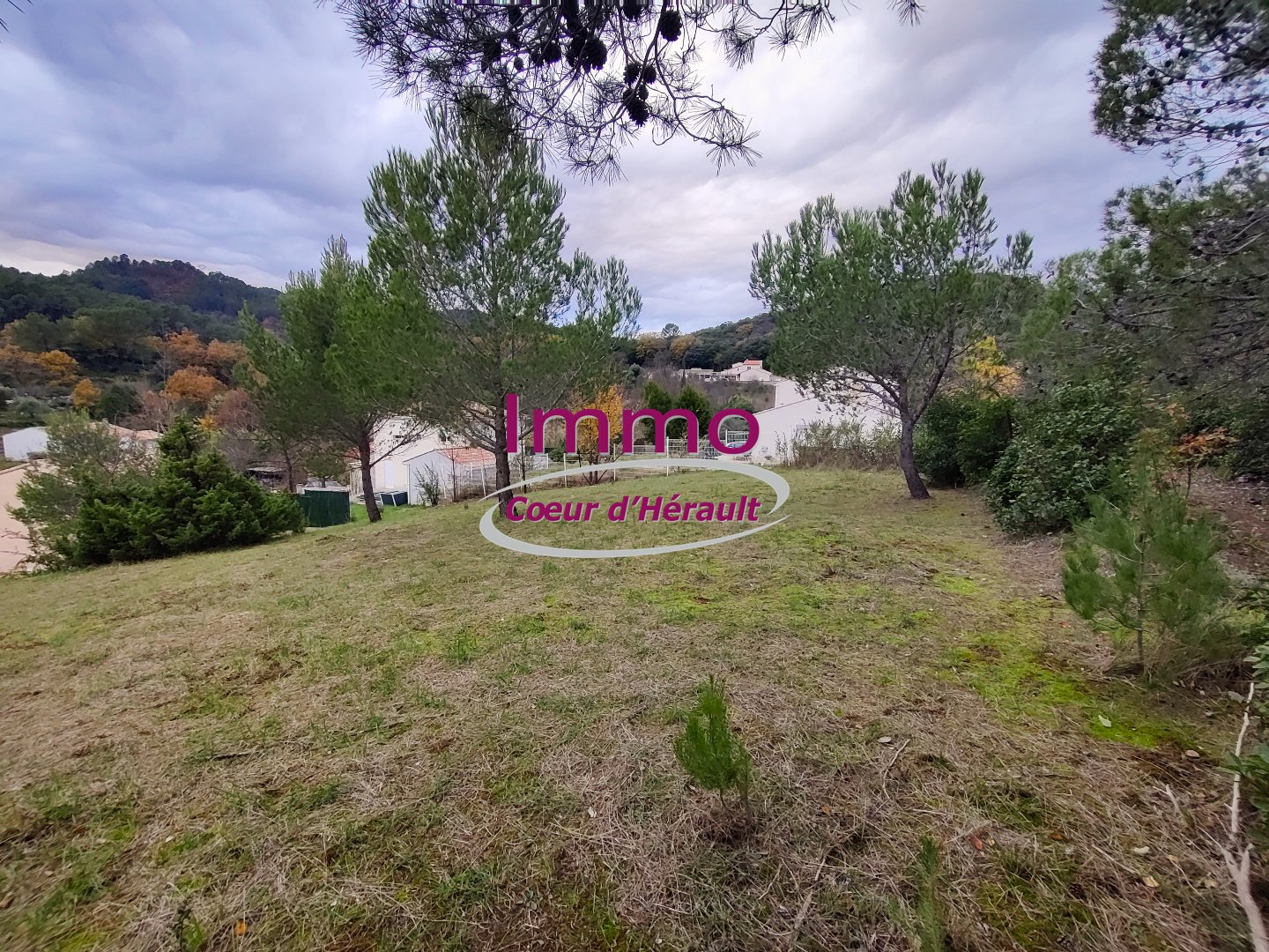 Agence immobilière de IMMO COEUR D'HERAULT