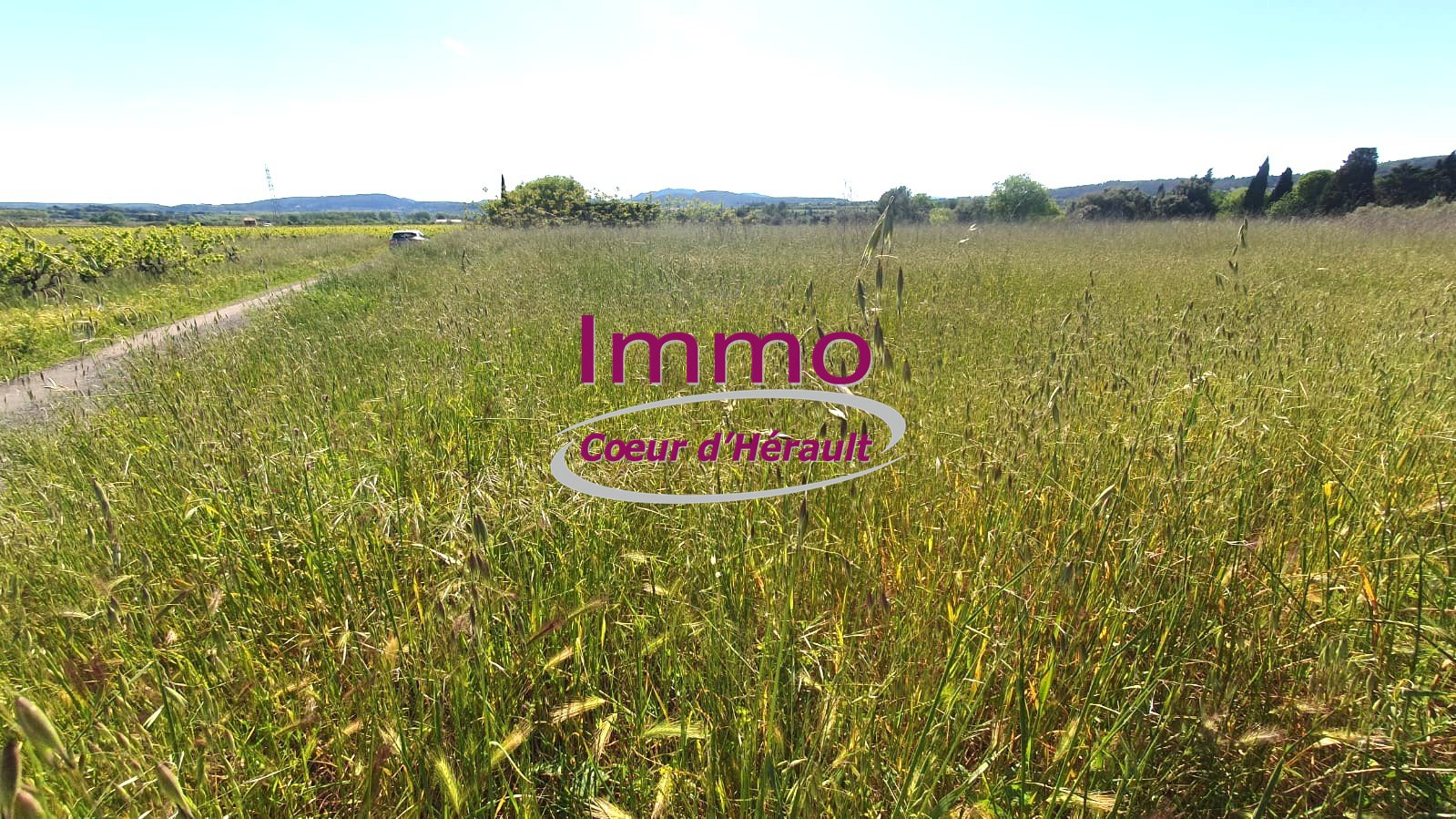Agence immobilière de IMMO COEUR D'HERAULT
