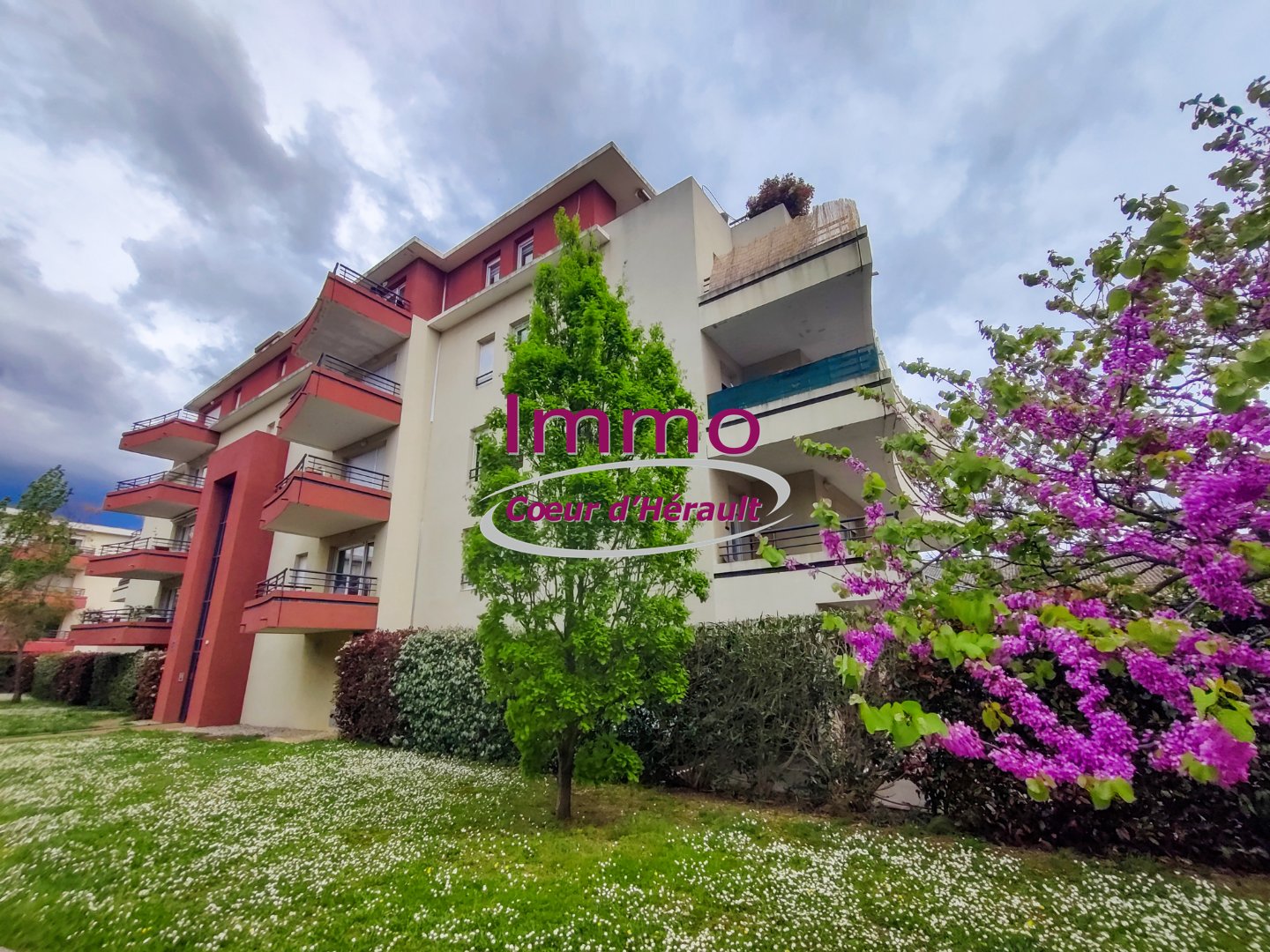 Agence immobilière de IMMO COEUR D'HERAULT