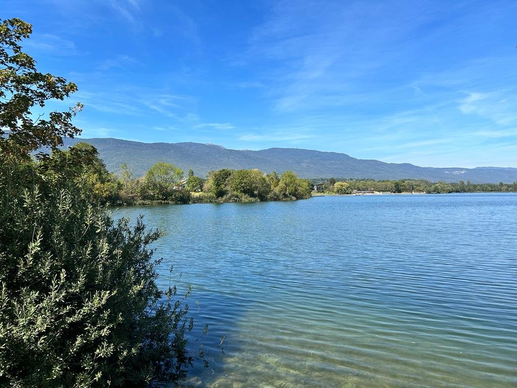 Agence immobilière de LE PARTENARIAT IMMOBILIER
