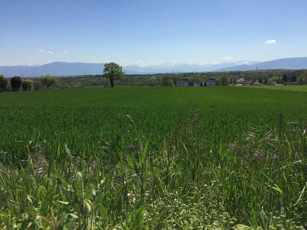 Agence immobilière de LE PARTENARIAT IMMOBILIER