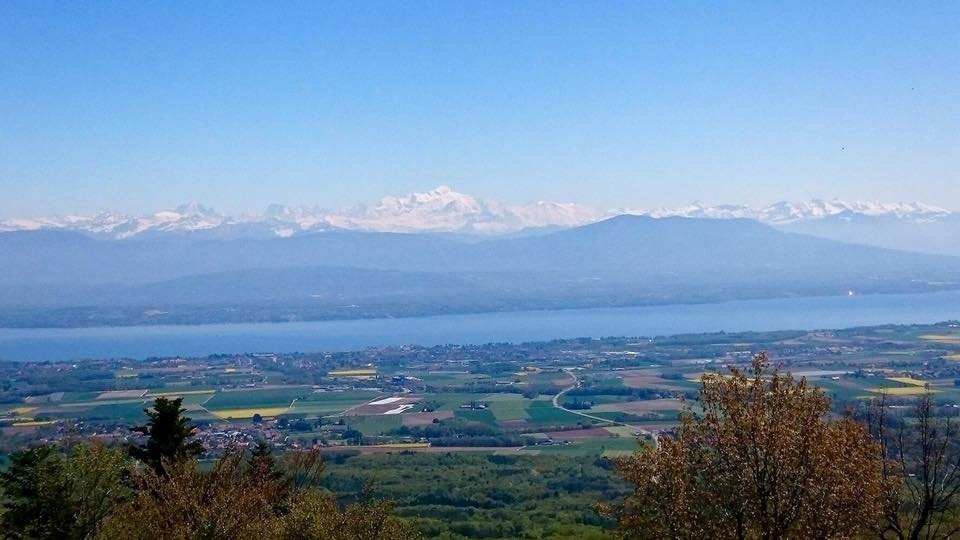 Agence immobilière de LE PARTENARIAT IMMOBILIER