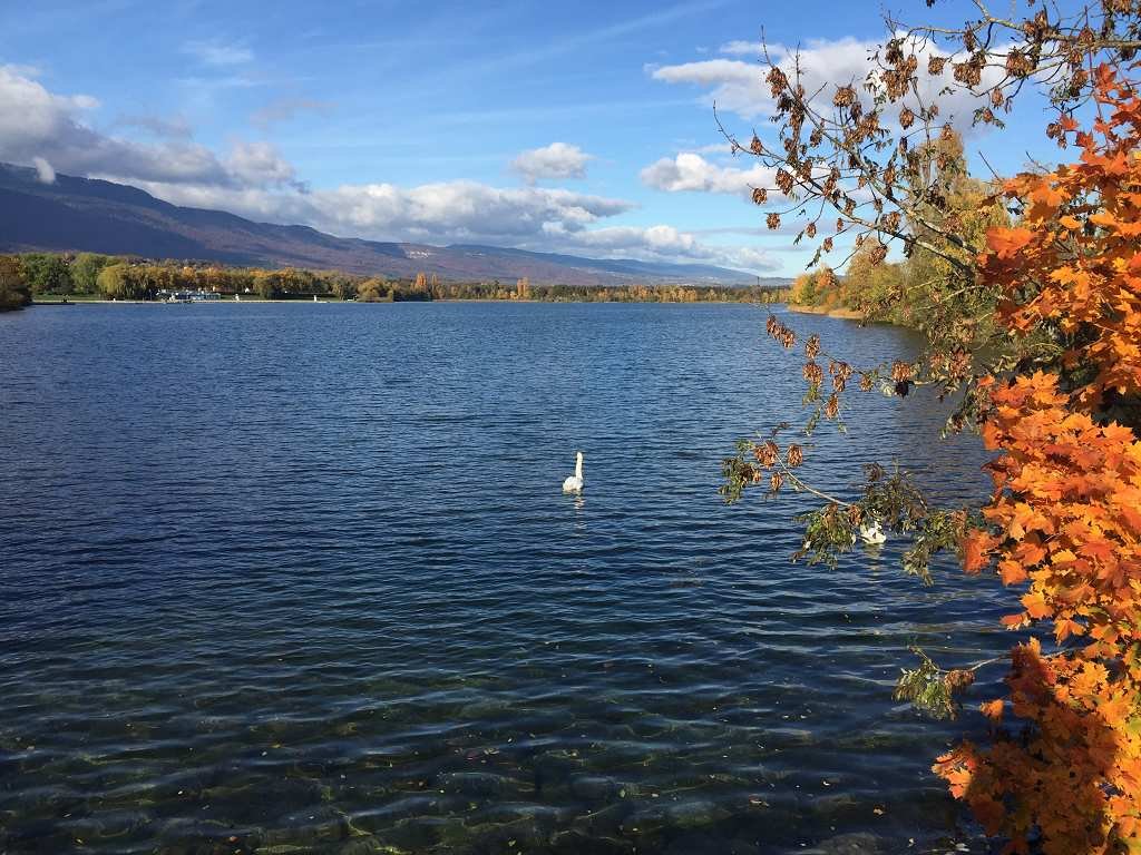 Agence immobilière de LE PARTENARIAT IMMOBILIER