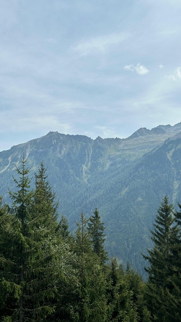 Agence immobilière de LE PARTENARIAT IMMOBILIER