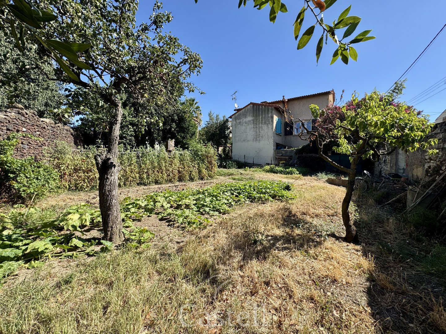 Terrain — Pomérols
