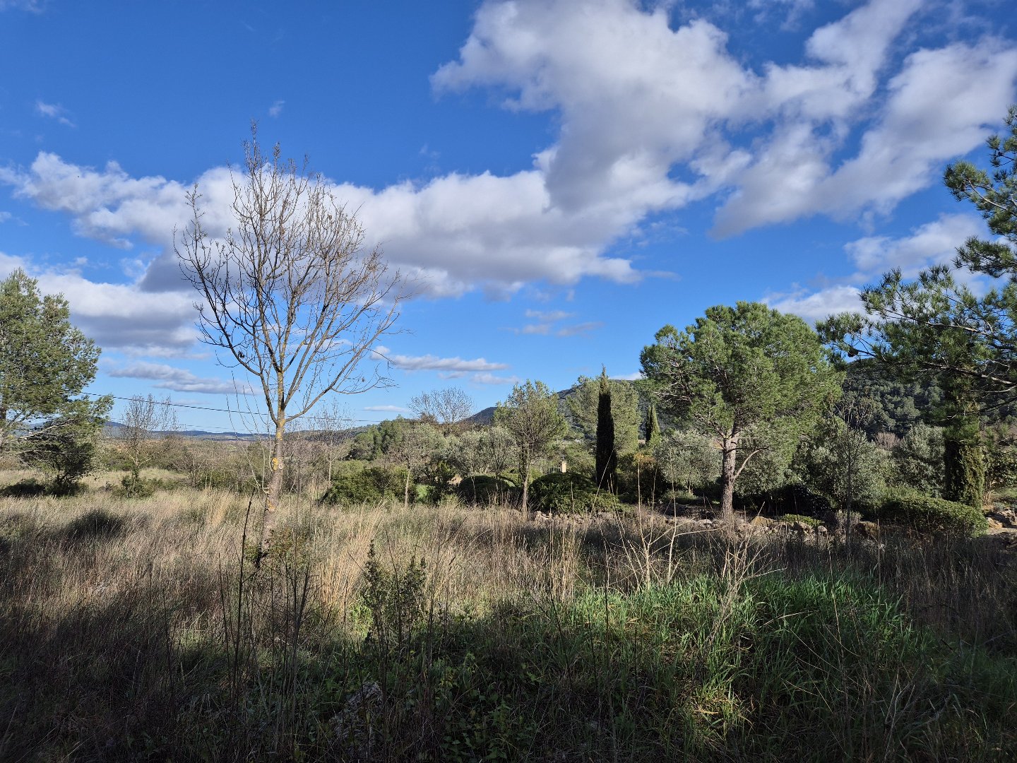 Agence immobilière de g&c immobilier