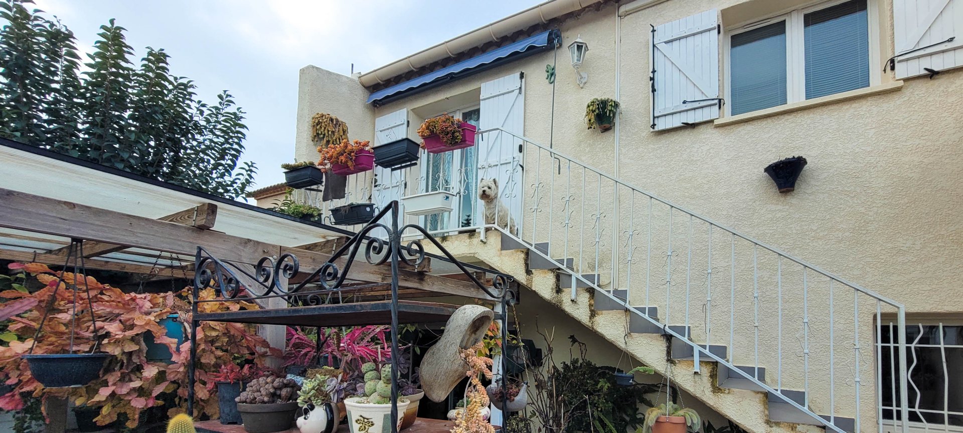 Agence immobilière de IMOBOOK
