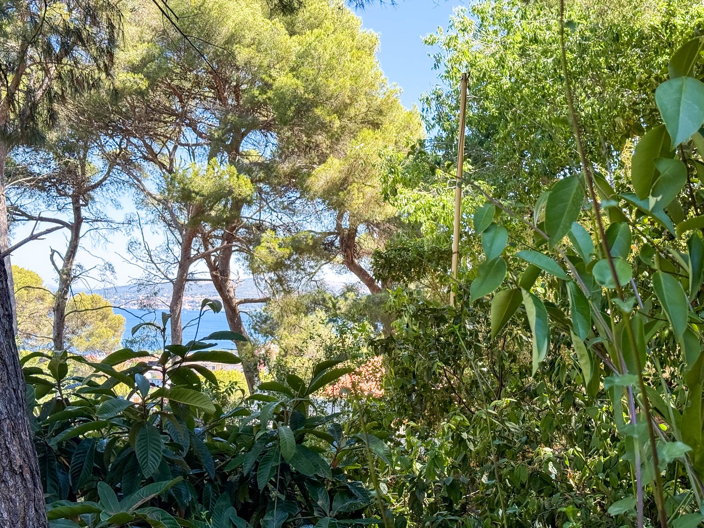 Agence immobilière de IMOBOOK