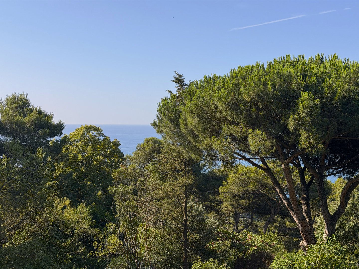 Agence immobilière de IMOBOOK
