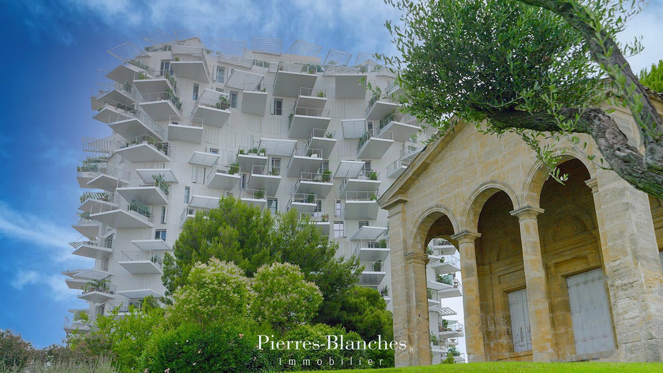 Agence immobilière de PIERRE BLANCHE IMMOBILIER