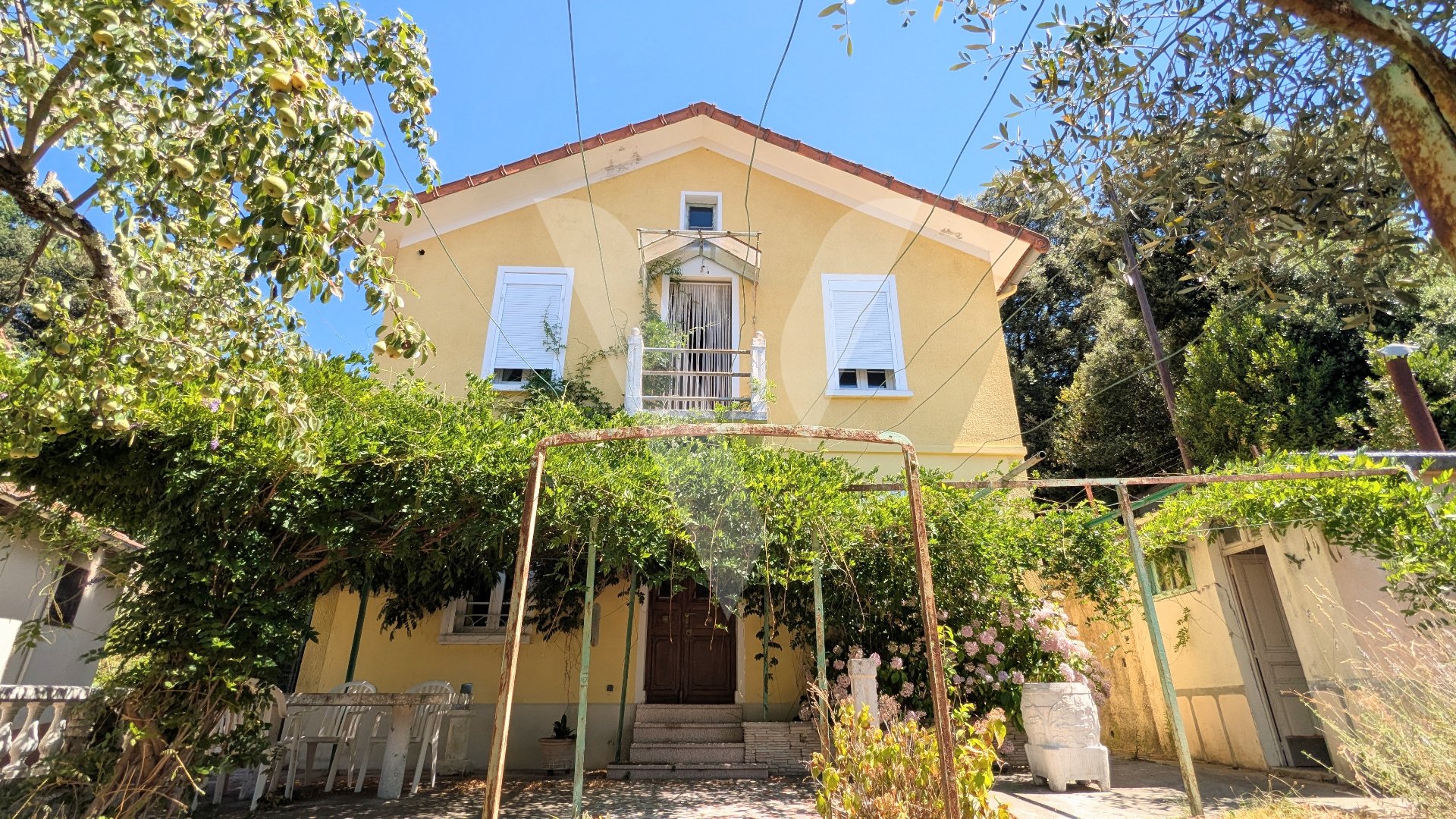 Agence immobilière de Immovit