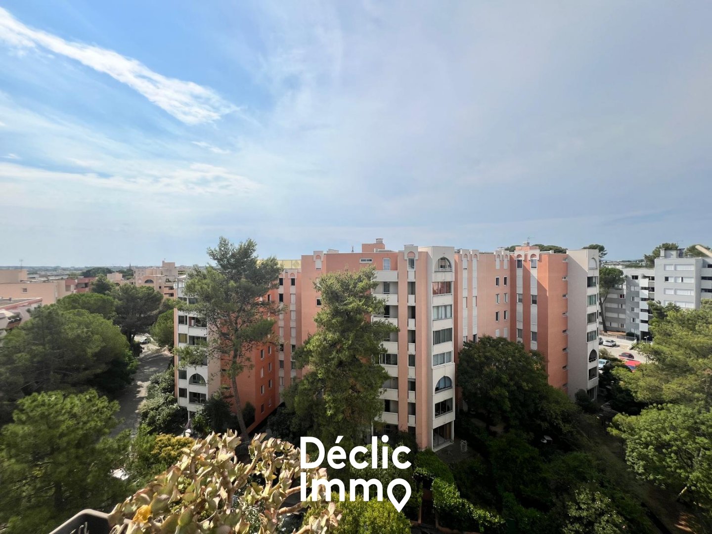 Agence immobilière de DECLIC IMMO 86