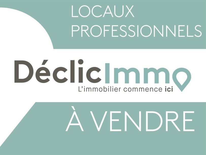 Locaux d'activité