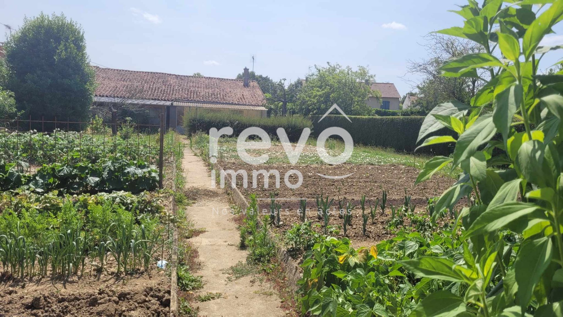 Agence immobilière de REVO IMMO