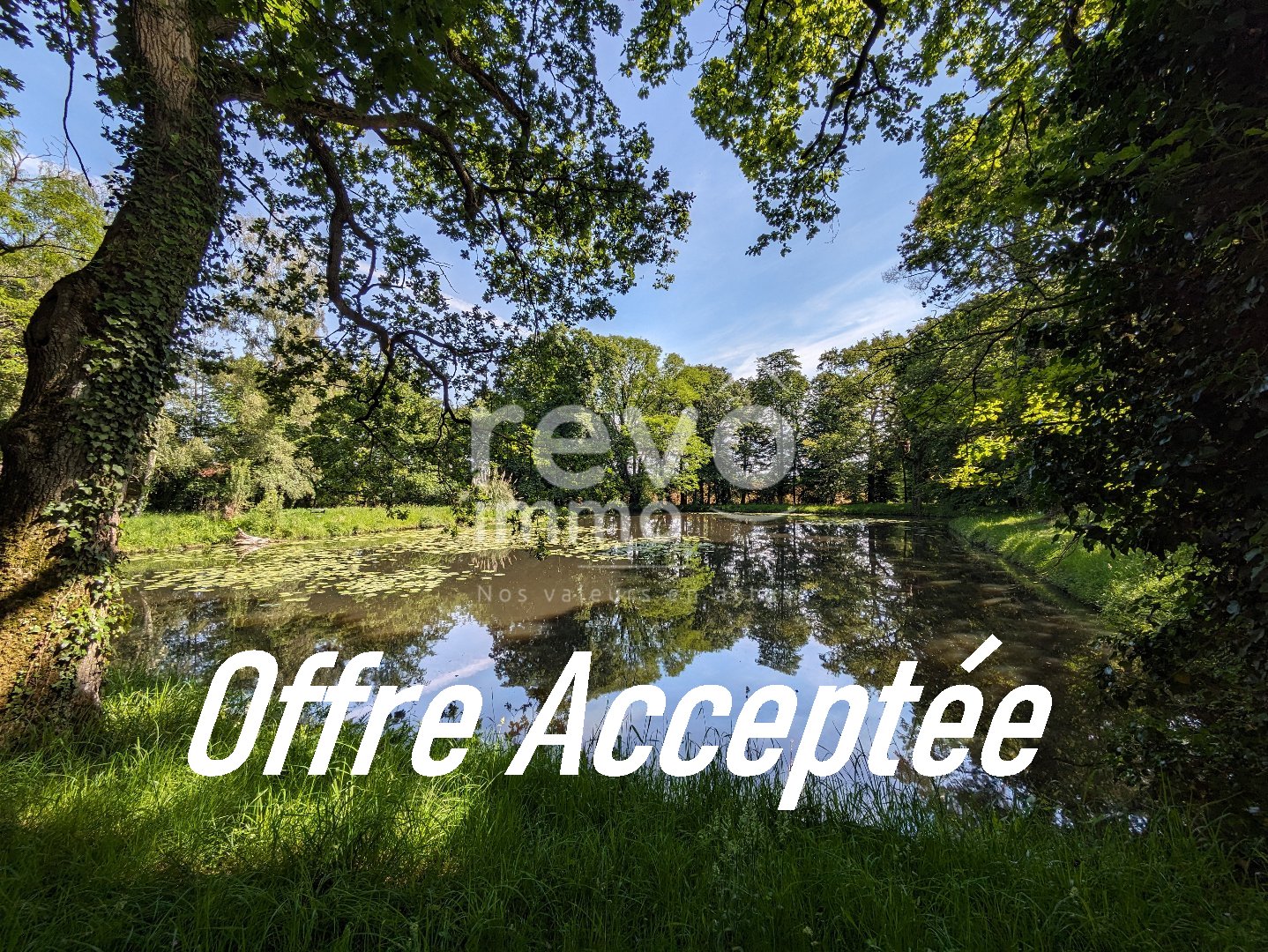 Agence immobilière de REVO IMMO